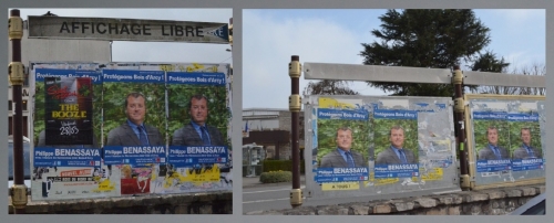 affiches_campagne.jpg